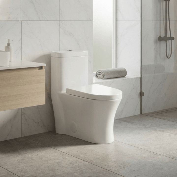 Toilette monobloc moderne Moderna One – Design élégant et efficace