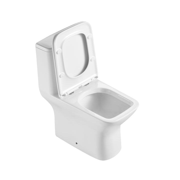 Éclat de Lune - Toilette monobloc avec flushing system Tornado et bol allongé