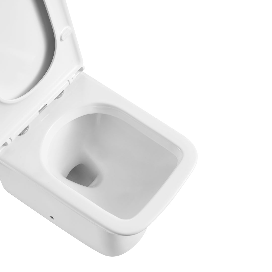 Éclat de Lune - Toilette monobloc avec flushing system Tornado et bol allongé