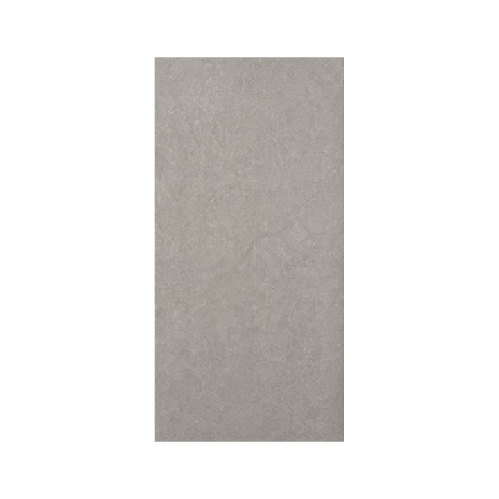 Carreau de céramique rectangulaire effet pierre, fini mat, gris pâle. Idéal pour un mur céramique salle de bain moderne.

