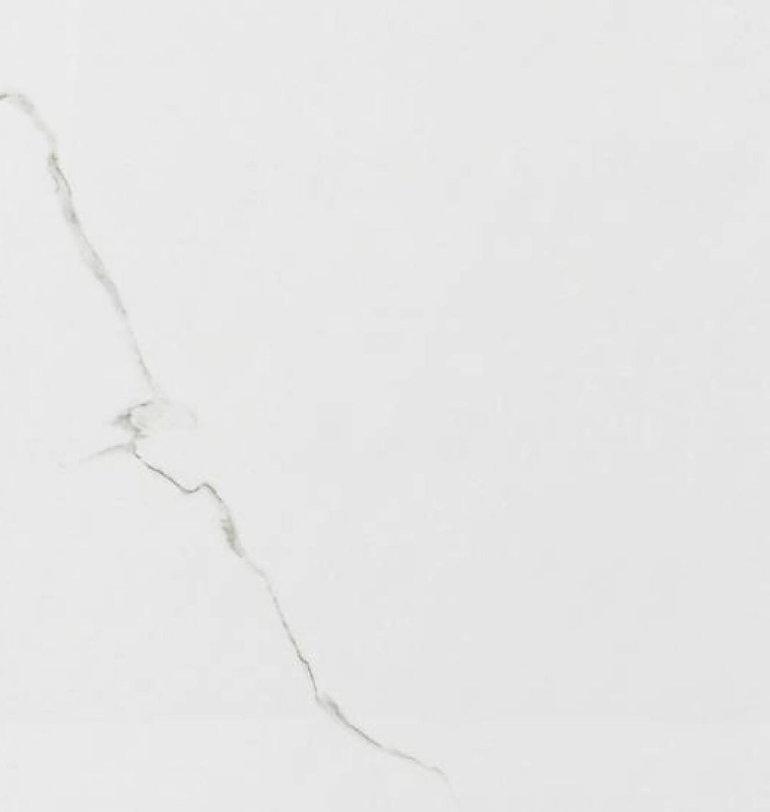 Revêtement mural pour douche céramique blanche brillante avec veines grises pour un look moderne.