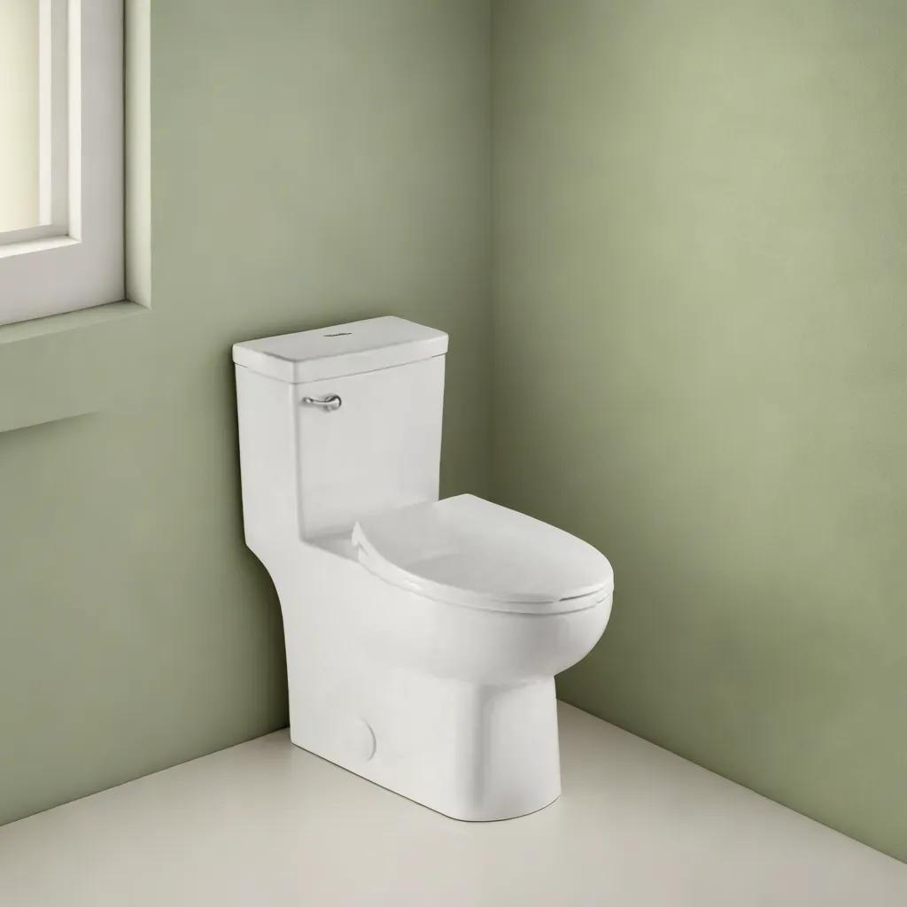 TOILETTE LIQUIDATION: Arctique - Toilette monobloc siphonique blanche