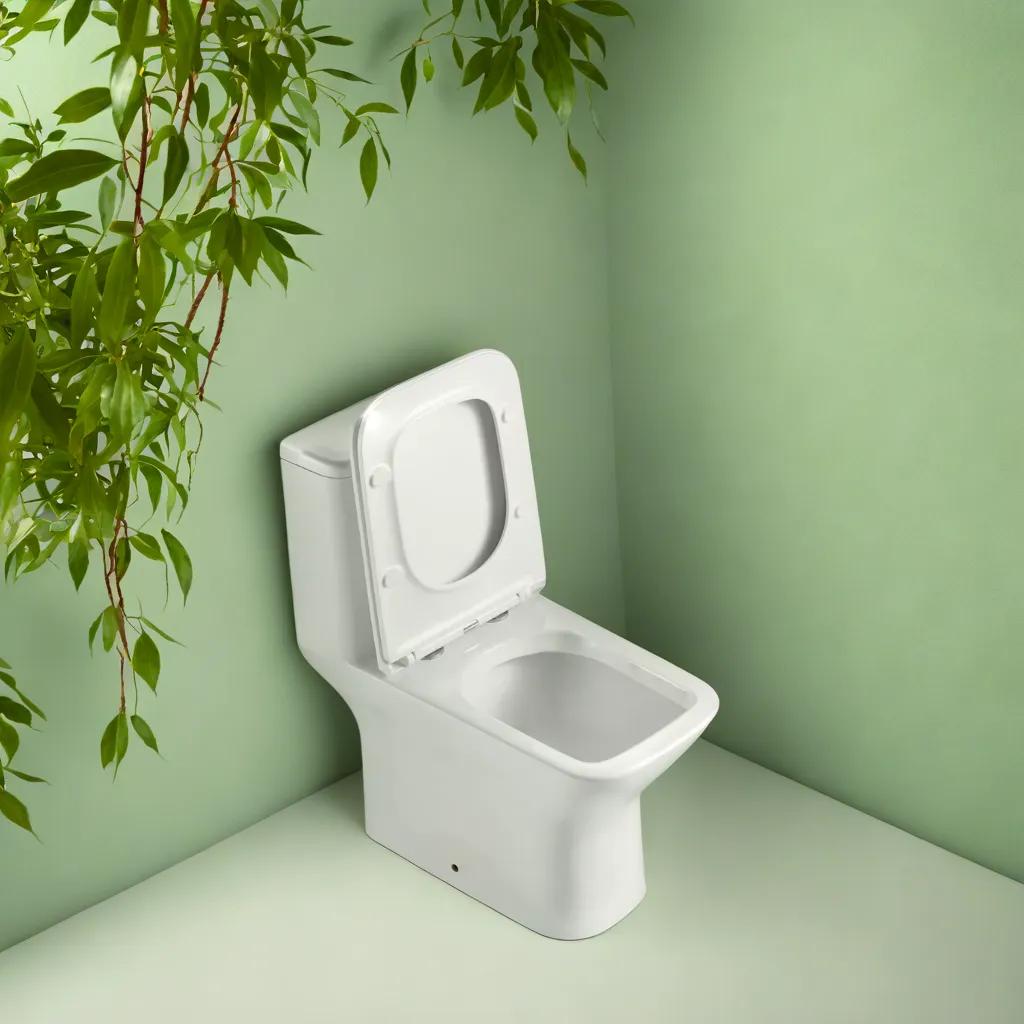 Éclat de Lune - Toilette monobloc avec flushing system Tornado et bol allongé