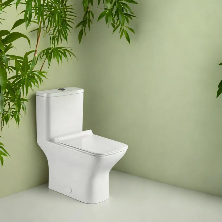 Éclat de Lune - Toilette monobloc avec flushing system Tornado et bol allongé