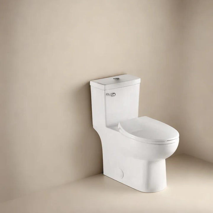 Arctique - Toilette monobloc siphonique blanche